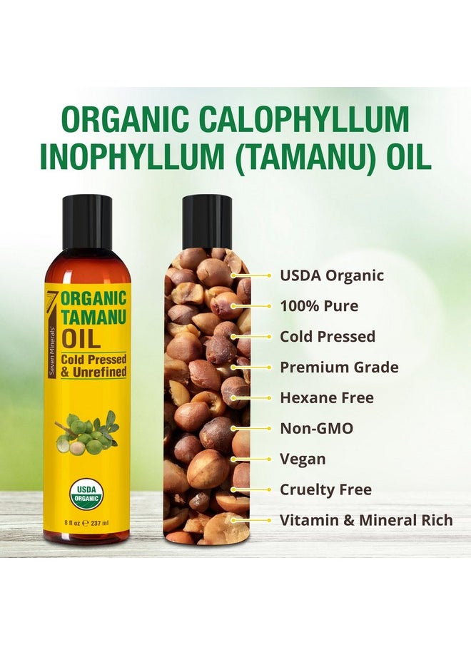 Seven Minerals Seven Minerals USDA Organic Tamanu Oil - Big 8oz (240ml) - Cold Pressed & 100% Pure Tamanu Oil Organic for Skin, Face, Hair, & Nails - GMO & Hexane Free Nutrient Dense Carrier Oil that Absorbs Easily  - Image 2