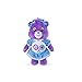 Basic Fun Care Bears x Wicked Fun Size Plush Share Bear as Dorothy Gale - Image 2