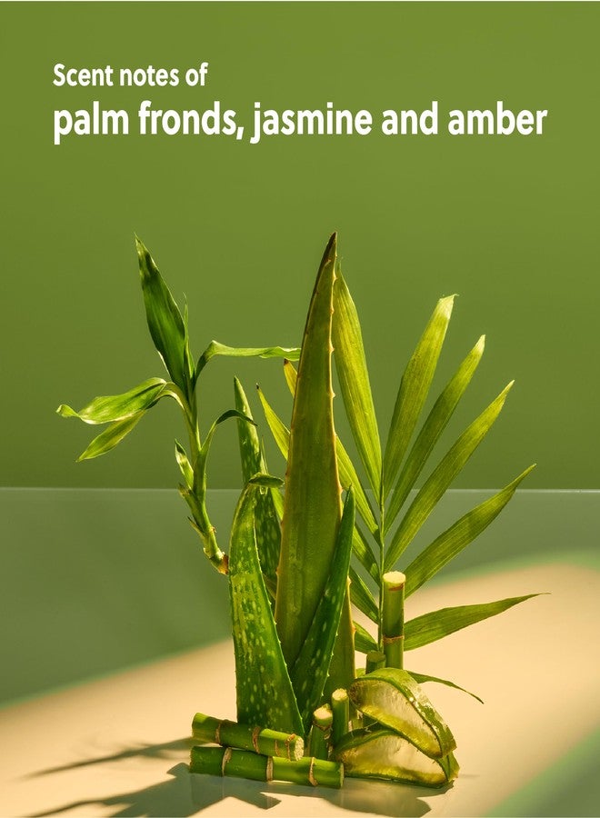 Tree Hut سيروم الجسم هيدرا جلو من تري هات بالم غروف، 11 أونصة - Image 2