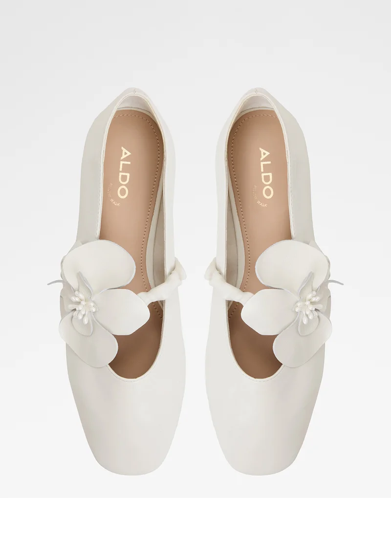 ALDO Floralina Ballerinas