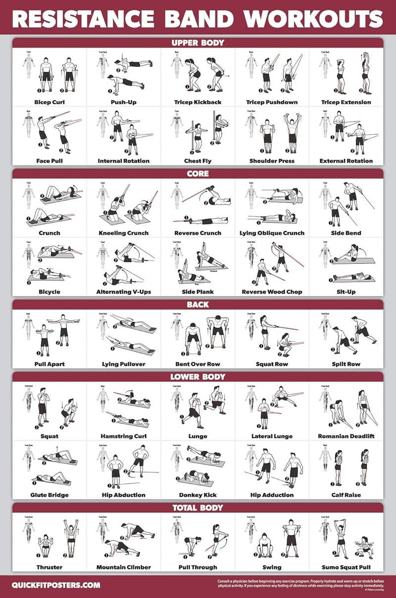 Palace Learning QUICKFIT Resistance Bands Workout Exercise Poster - Double Sided (Laminated, 18" x 24") - Image 1