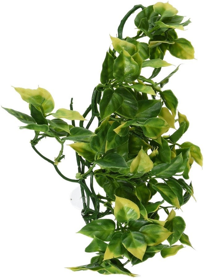 Exo Terra Plastic Terrarium Plant, Medium, Amapallo - Image 1
