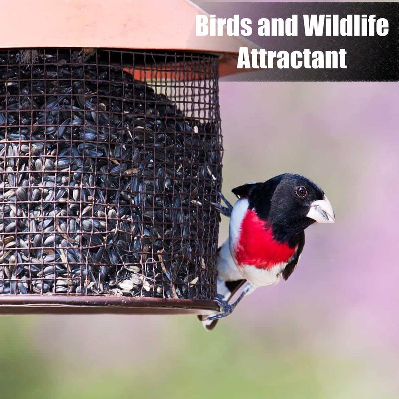 Old Potters Wildlife Black Oil Sunflower Seeds for Birds and Wildlife, Non-GMO & USA Grown on Small Farms (12 lbs) - Image 3