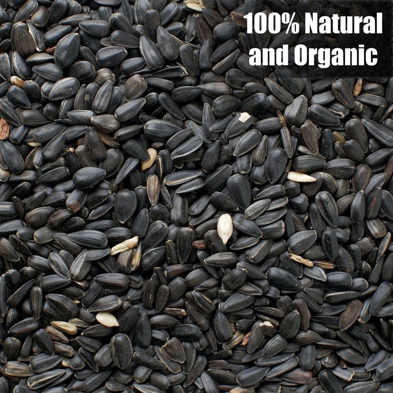 Old Potters Wildlife Black Oil Sunflower Seeds for Birds and Wildlife, Non-GMO & USA Grown on Small Farms (12 lbs) - Image 2