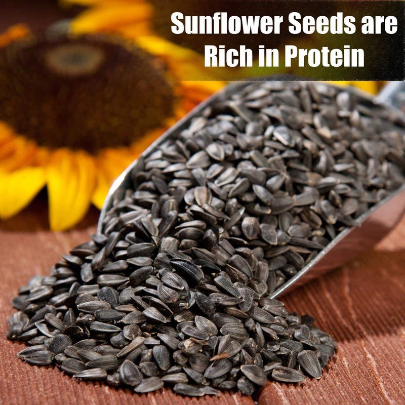 Old Potters Wildlife Black Oil Sunflower Seeds for Birds and Wildlife, Non-GMO & USA Grown on Small Farms (12 lbs) - Image 4