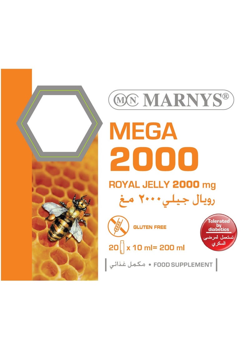 مارنيز ميجا 2000 - غذاء ملكات النحل النقي - دعم الطاقة والحيوية بتركيبة خالية من السكر - مع فيتامين سي لدعم المناعة - مناسب لمرضى السكري - 20 أمبولة قابلة للشرب - Image 3