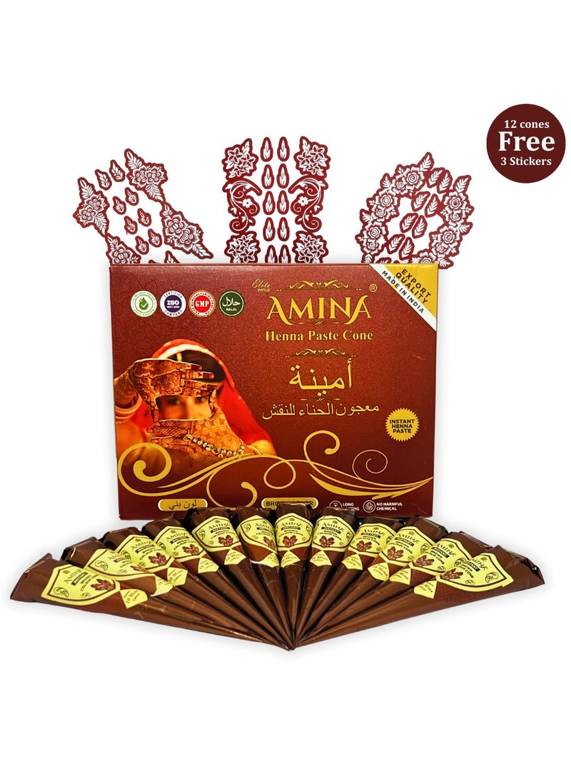 أمينا حناء أمينة سريعة التحضير، مخروط الحناء | مع مجموعة مجانية من 3 ملصقات/استنسلات كاملة لليدين | بدون مواد كيميائية | يدوم طويلاً | عبوة من 12 قطعة × 25 جم لكل قطعة | لون بني - Image 1