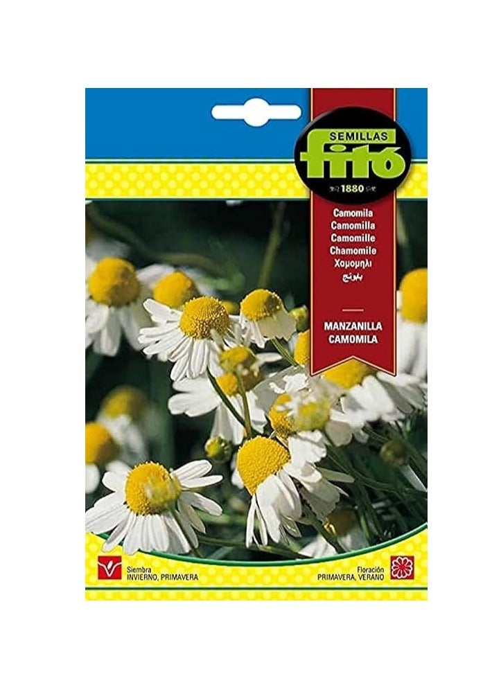 Generic Chamomile Manzanilla Camomila Seeds By Fito "Graden Care" 
