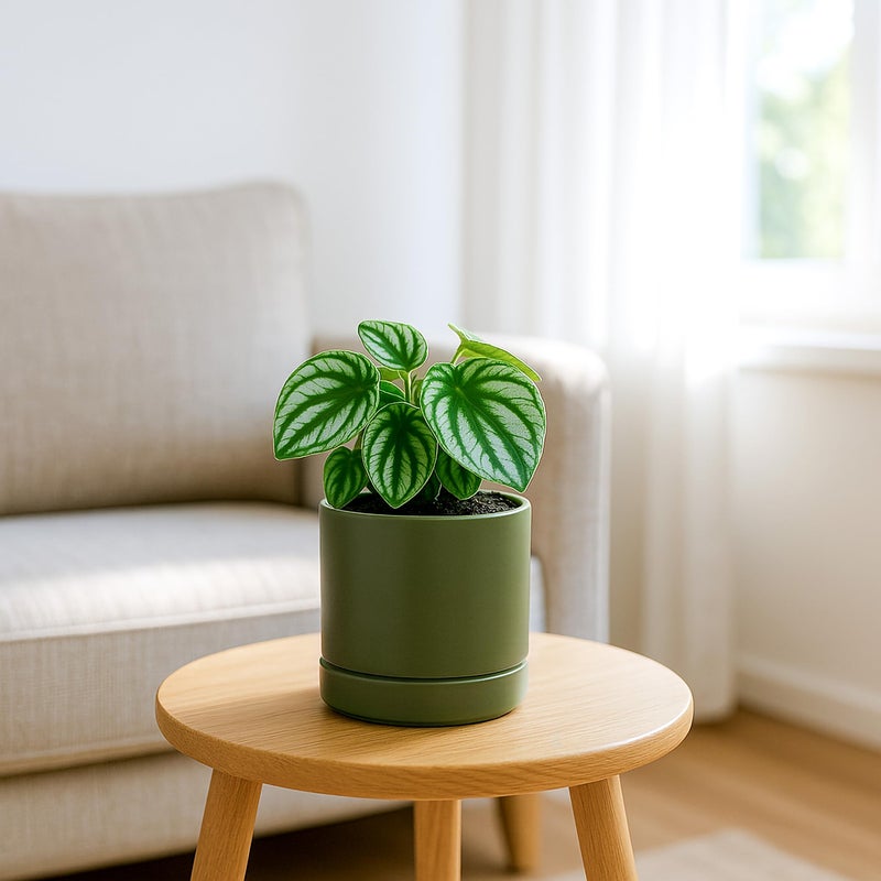 D'vine Dev 4.7 Inch Ceramic Planter Pot with Drainage Hole and Saucer, Indoor Cylinder Round Planter Pot, Olive, 94-O-B-J - Image 5
