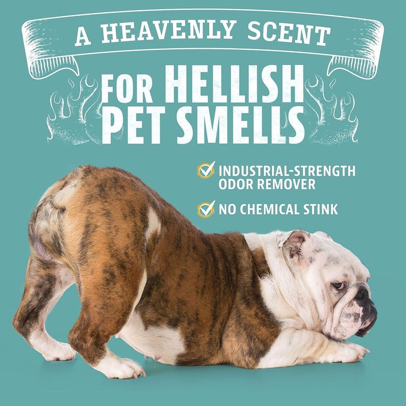 ANGRY ORANGE Eliminator Pet Spray - Image 2