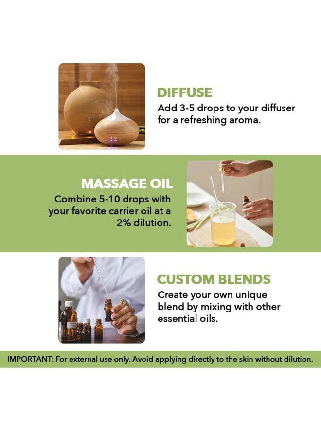Majestic Pure MAJESTIC PURE Peppermint Essential Oil | 100% Pure and Natural Peppermint Oil | Premium Grade Essential Oils for Hair Care, Home Diffusers, Skin, Aromatherapy, Massage and Humidifiers | 1 Fl Oz  - Image 5