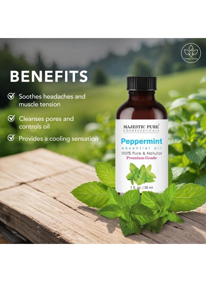 Majestic Pure MAJESTIC PURE Peppermint Essential Oil | 100% Pure and Natural Peppermint Oil | Premium Grade Essential Oils for Hair Care, Home Diffusers, Skin, Aromatherapy, Massage and Humidifiers | 1 Fl Oz  - Image 2