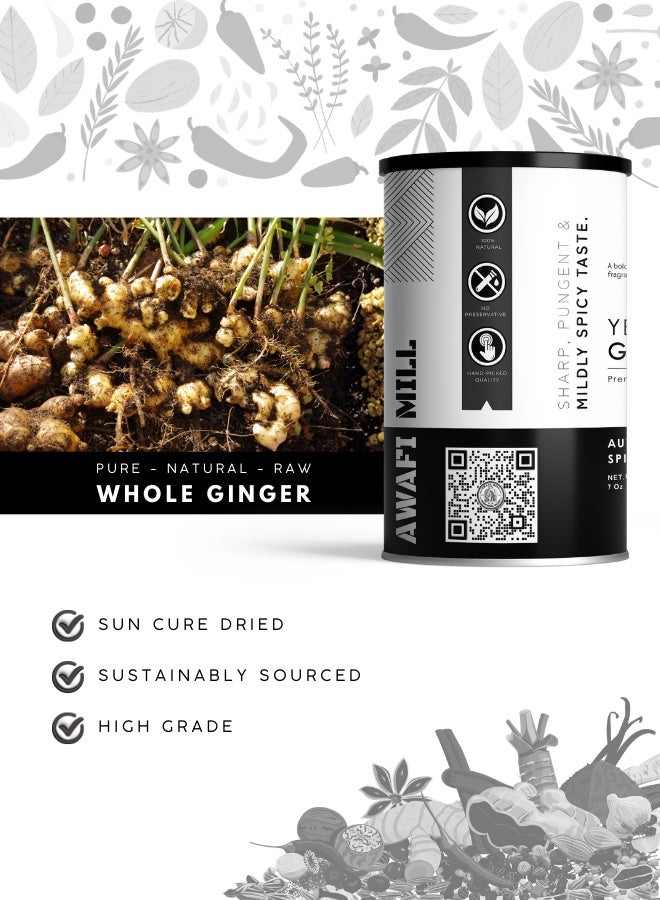 AWAFI MILL Whole Dried Ginger (Dry Ginger Root, Zingiber officinale) - 250 g | 9 Oz (Pack Of 2) - Image 3