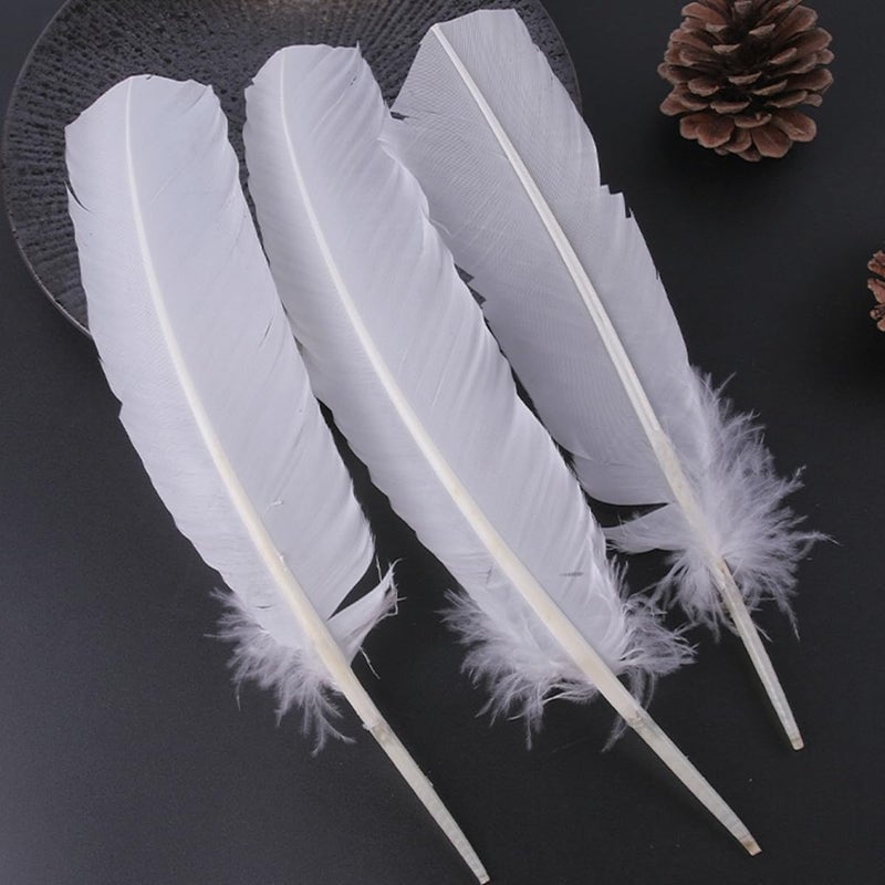 XKTEI 24Pcs White Turkey Feathers 10~12in Long,Beautiful Feather for Crafts 26-31cm,Bulk Big Size Bilateral Natural Feather,for Wedding Dress and Party Decoration,DIY Fabricating Handicraft Article (White) - Image 5