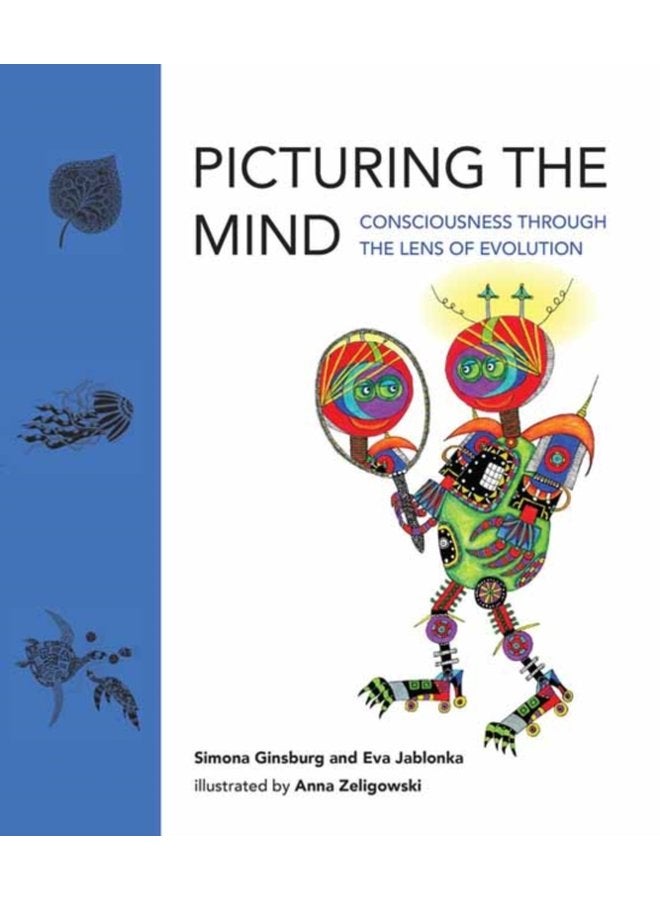 Picturing the Mind - Hardback