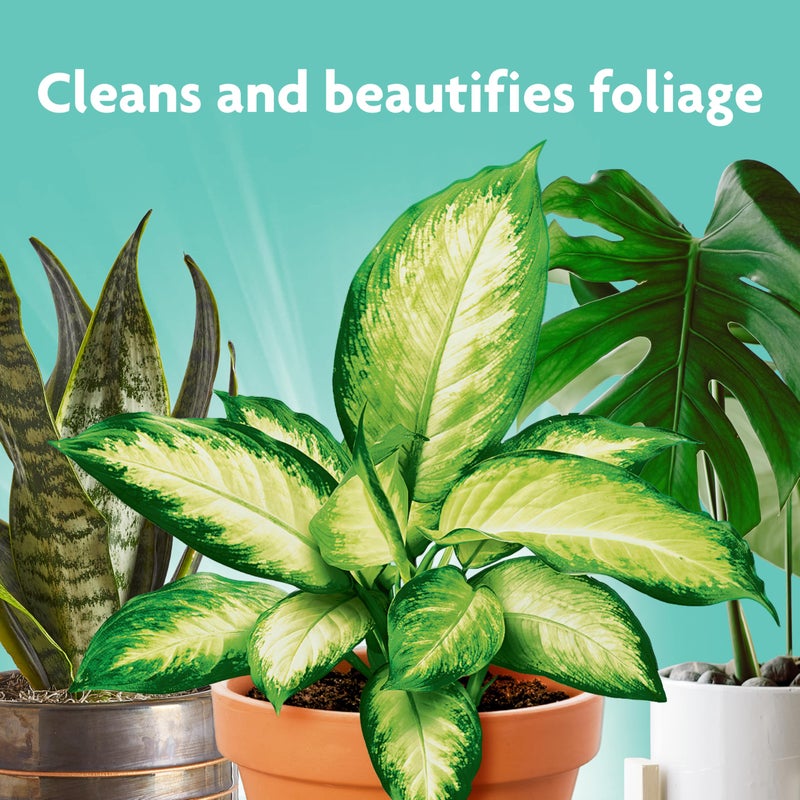 Miracle-Gro Leaf Shine, 8-Ounce Green - Image 2
