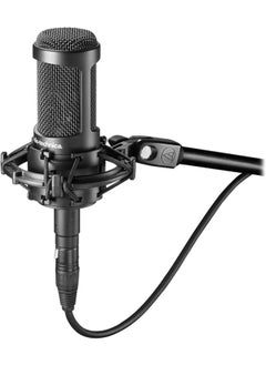 audio-technica Mic AT2035 