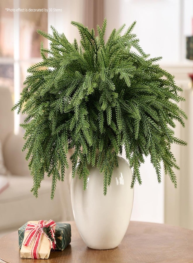 CLEANGOR 12Pcs 18'' Norfolk Pine Stems Realistic, Lifelike Christmas Greenery Pine Branches for DIY Wreaths, Vase Fillers, Indoor Outdoor Decor, Real Touch Christmas Decorations for Table, Mantle - Image 5