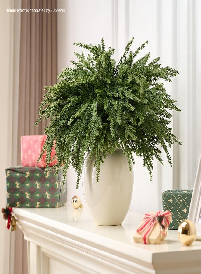 CLEANGOR 12Pcs 18'' Norfolk Pine Stems Realistic, Lifelike Christmas Greenery Pine Branches for DIY Wreaths, Vase Fillers, Indoor Outdoor Decor, Real Touch Christmas Decorations for Table, Mantle - Image 4