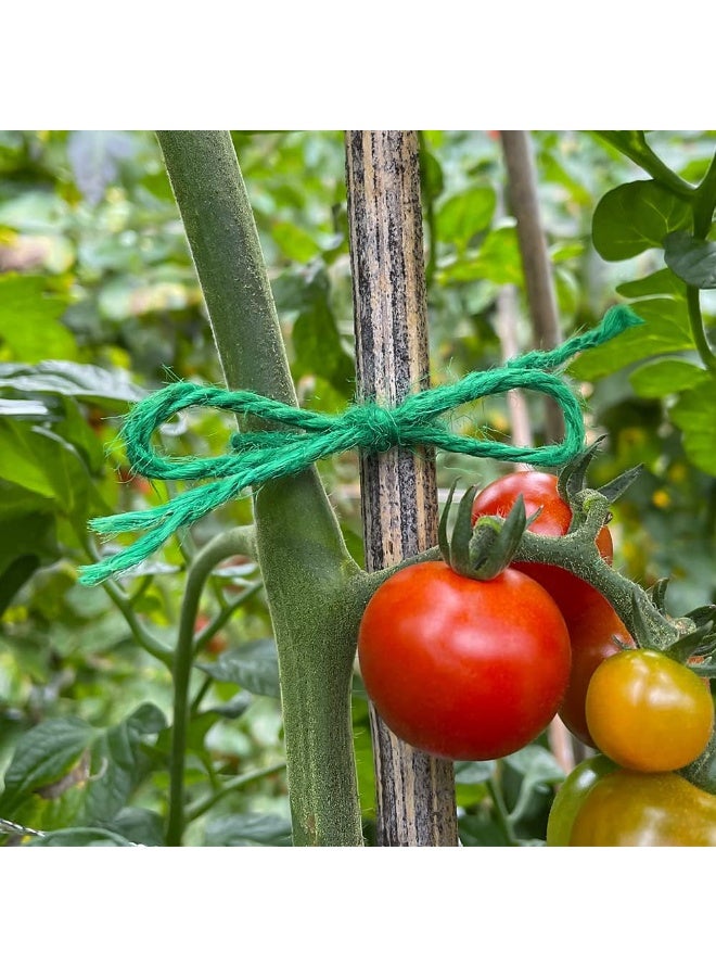 Tenn Well Jute Garden Twine, 328 Feet 3mm Heavy Duty Tomato Twine, Green Plant Ties for Gardening, Climbing Plants, Vegetables, Crafting - Image 3