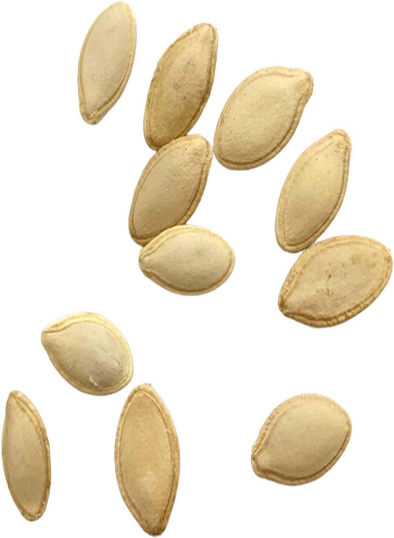 جي جوت بذور بذور خضراء، آمنة وغير ضارة وغير معدلة وراثيًا، كيس واحد من بذور اليقطين الأزرق، نبات سنوي طبي جديد، بذور اليقطين الكمثرى للمزرعة، بذور اليقطين الزرقاء - Image 5