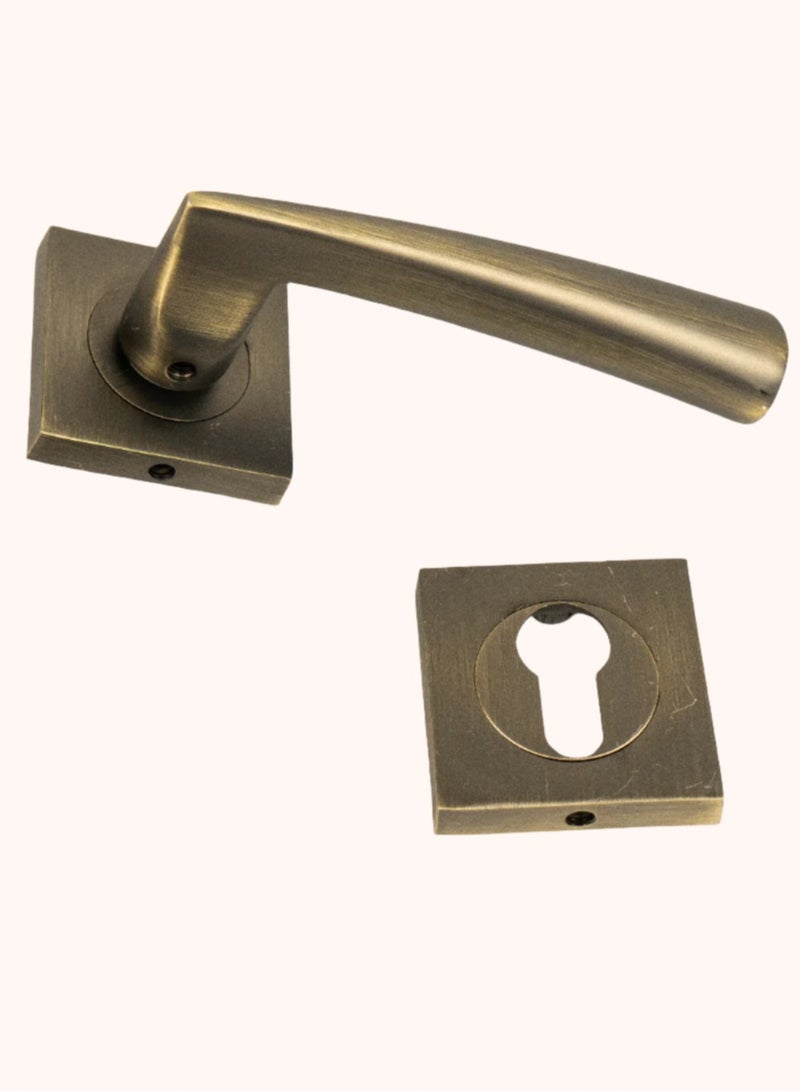 Siag Hazal Rosetta Cylinder Door Handle - Image 3