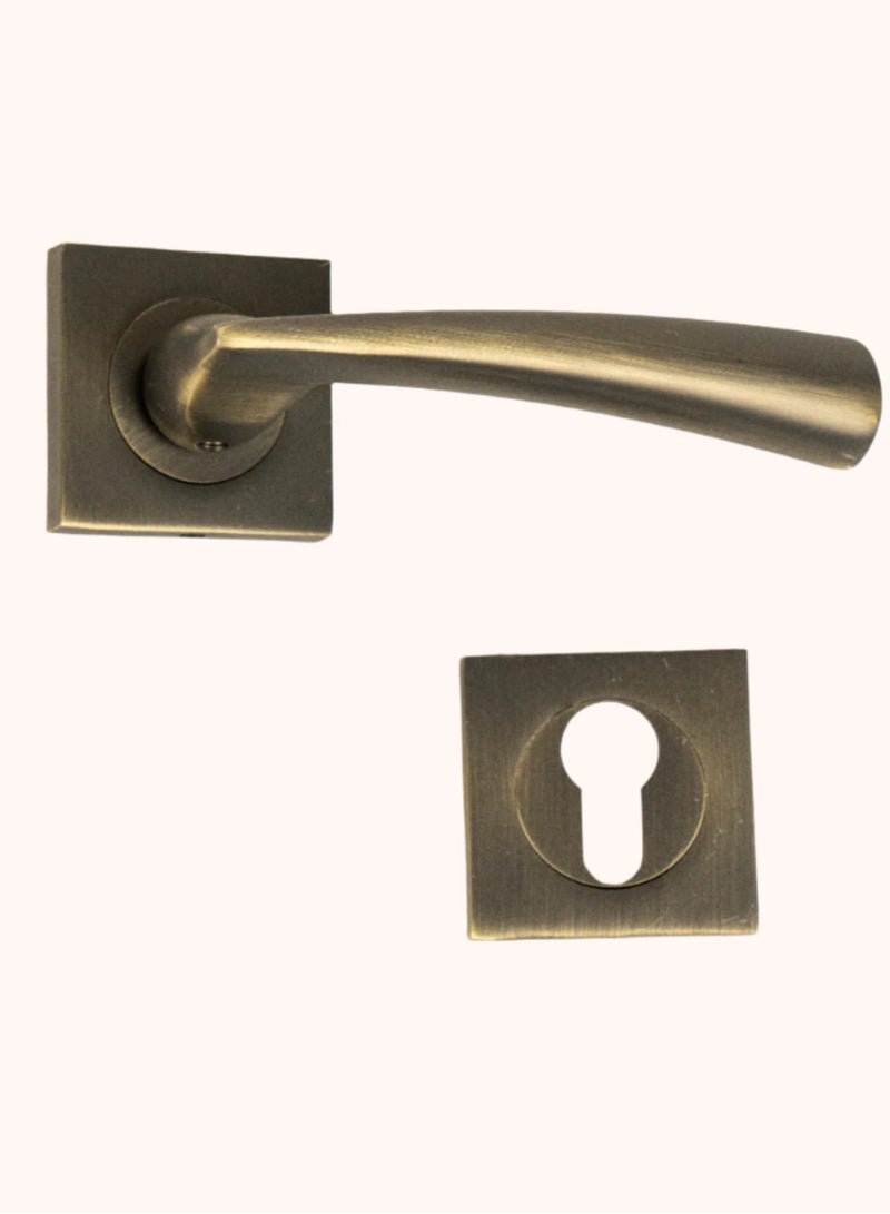 Siag Hazal Rosetta Cylinder Door Handle - Image 2