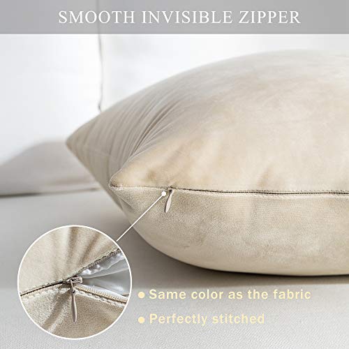 Stellhome Pack of 2 Super Soft Throw Pillow Covers Rectangle Solid Velvet Pillowcase for Bed Couch Sofa Bench, 12 x 20 inch (30 x 50 cm), Beige - Image 3
