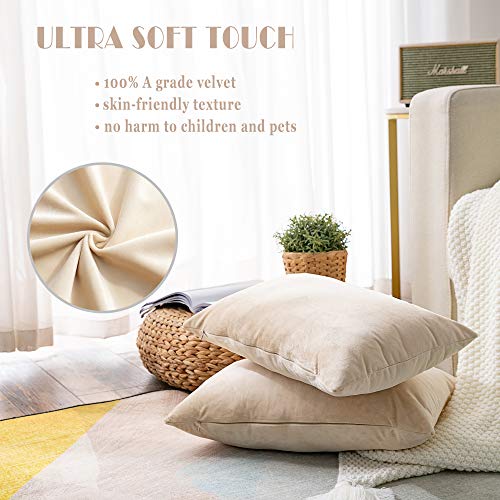 Stellhome Pack of 2 Super Soft Throw Pillow Covers Rectangle Solid Velvet Pillowcase for Bed Couch Sofa Bench, 12 x 20 inch (30 x 50 cm), Beige - Image 2