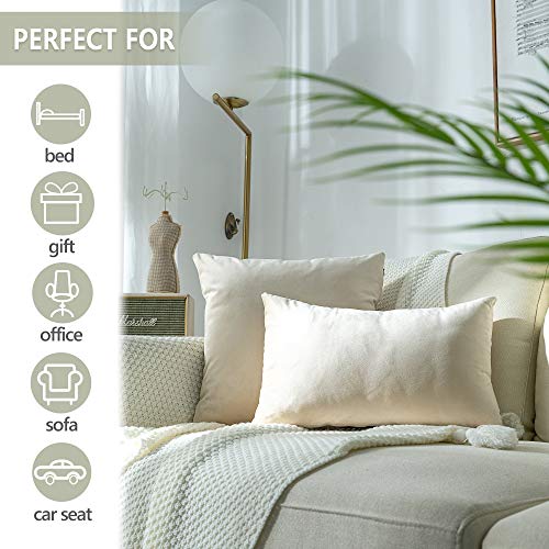 Stellhome Pack of 2 Super Soft Throw Pillow Covers Rectangle Solid Velvet Pillowcase for Bed Couch Sofa Bench, 12 x 20 inch (30 x 50 cm), Beige - Image 5