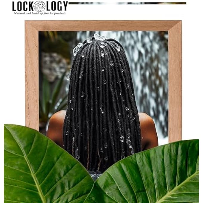 Lockology DREADLOCKS SHAMPOO FOR LOCS, GINGER MINT ORGANIC LOC SHAMPOO FOR DREADS AND LOC PRODUCTS - Image 3