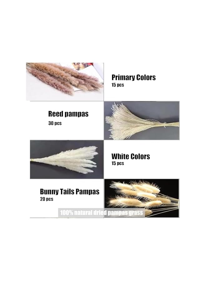 The Bros 80pcs Natural Dried Pampas Grass Decor, 17.5" Boho Bundle (15 White+15 Brown+30 Reed+20 Bunny Tails) Fluffy Dried Flowers for Wedding, Farmhouse & Home Decor, Vase Fillers, DIY Centerpieces - Image 5