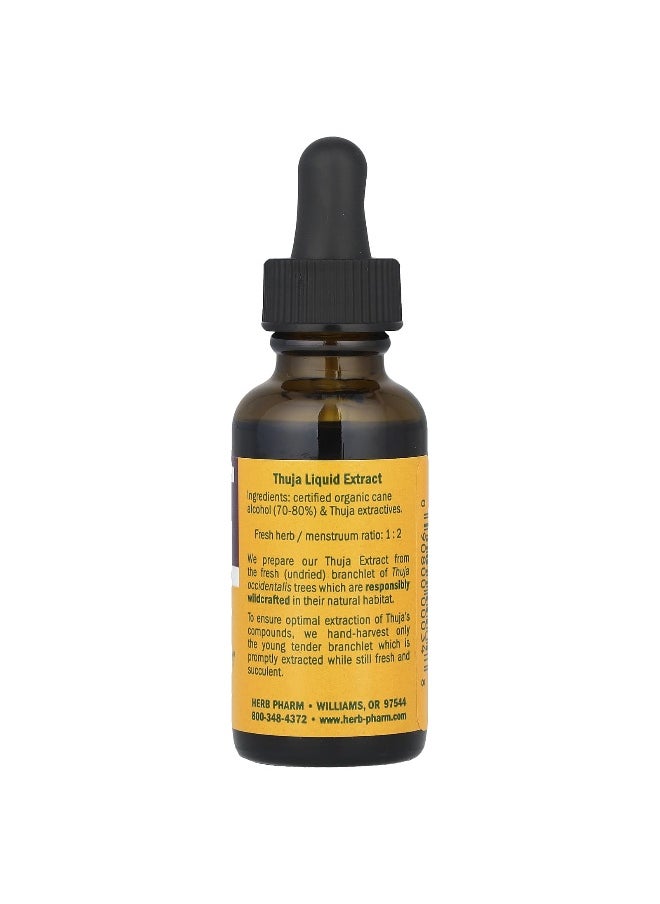HERB PHARM - Herb Pharm, Thuja, 1 fl oz (30 ml) - Image 1