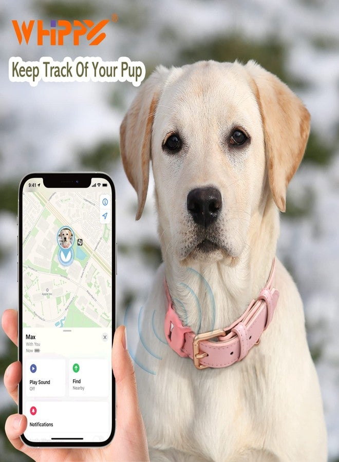 WHIPPY Airtag Leather Dog Collar GPS Tracker Air Tag Puppy Collar Adjustable Soft Leather Padded Dog Collar with Airtag Holder Case for Small Medium Large Dog Pet Backpack,Pink,M - Image 2