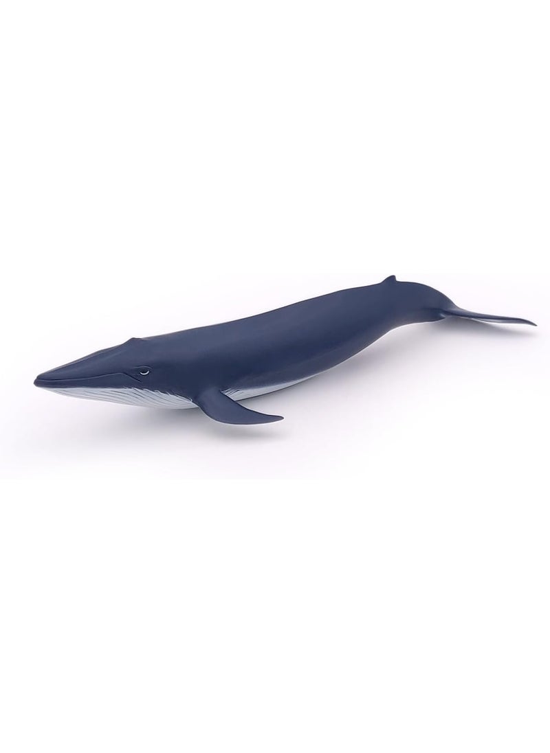 Papo Papo  HandPainted  Figurine  Marine Life  Blue Whale calf56041  Collectible  for Children  Suitable for Boys and Girls  from 3 Years Old  - Image 3
