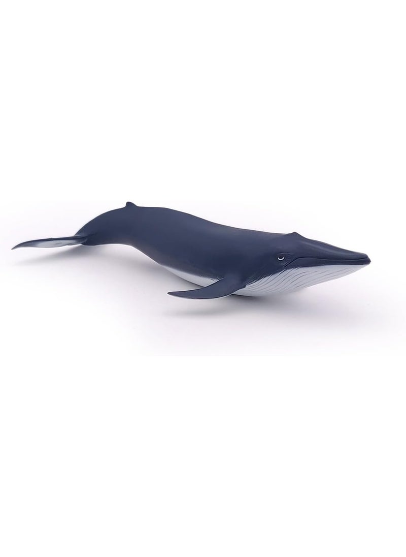 Papo Papo  HandPainted  Figurine  Marine Life  Blue Whale calf56041  Collectible  for Children  Suitable for Boys and Girls  from 3 Years Old  - Image 4