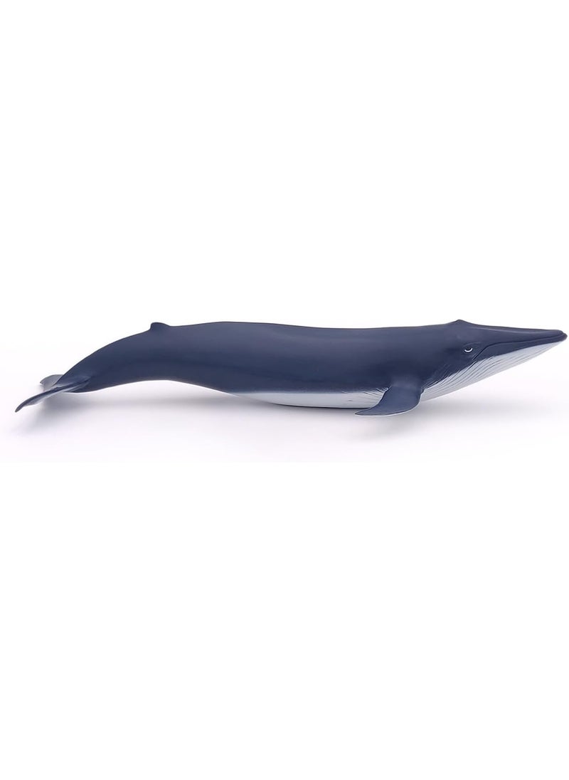 Papo Papo  HandPainted  Figurine  Marine Life  Blue Whale calf56041  Collectible  for Children  Suitable for Boys and Girls  from 3 Years Old  - Image 5