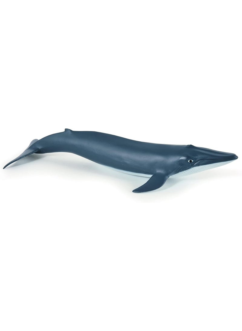 Papo Papo  HandPainted  Figurine  Marine Life  Blue Whale calf56041  Collectible  for Children  Suitable for Boys and Girls  from 3 Years Old  - Image 1