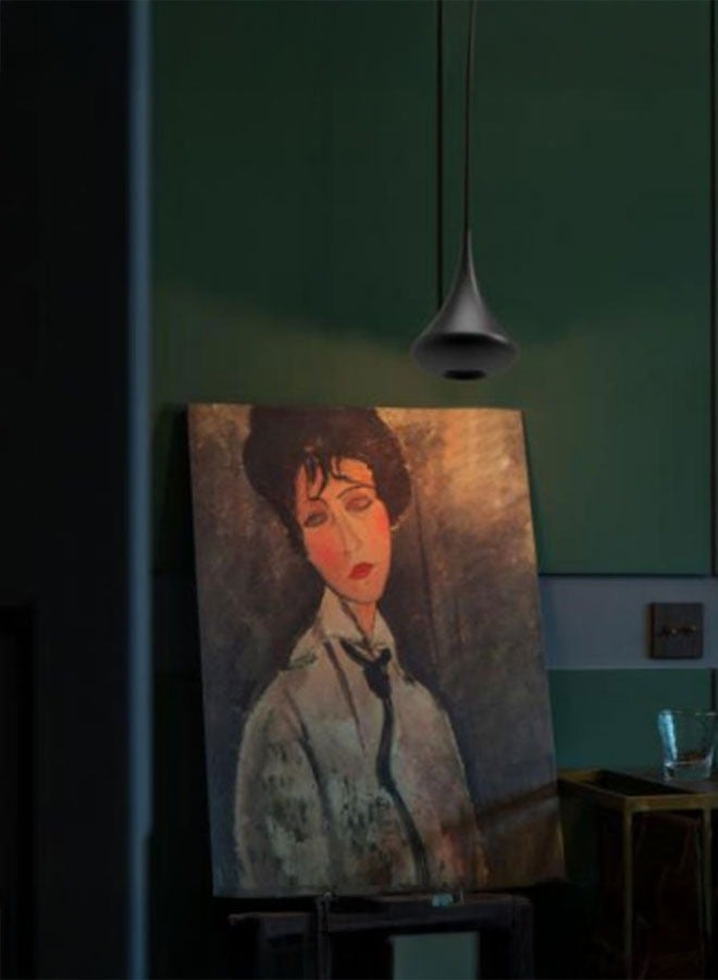 ٍSiera Light A single black pendant light used beside the bed or in the corner of the house warm 5 watt PA6690  - Image 2