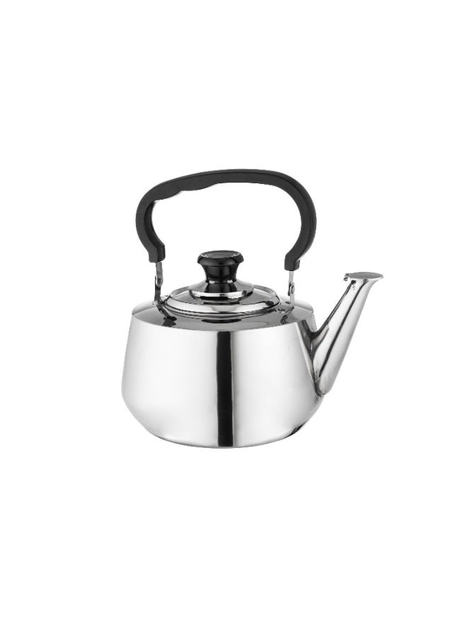 4L Heat Resistant Stainless Steel Teapot - Image 1