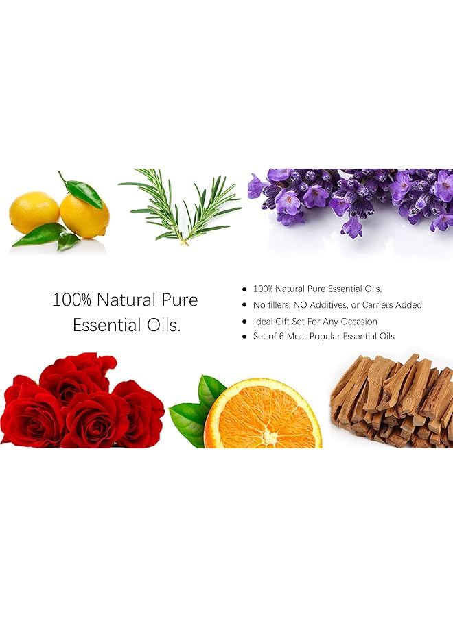 إيروريكس مجموعة زيوت عطرية نقية 100% من Pure Aroma مجموعة هدايا زيوت العلاج بالروائح العطرية 6 قطع × 10 مل للعناية المنزلية وصناعة الشموع ومرطبات العلاج بالروائح العطرية والهدايا - Image 2