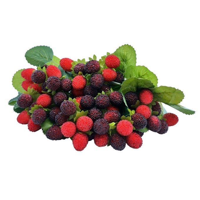 4PCS ARTIFICIAL RASPBERRY RED BERRY STRAWBERRY FAUX FRUIT BLACKBERRY PROPS TABLE DECORATION RED WITH BLACK