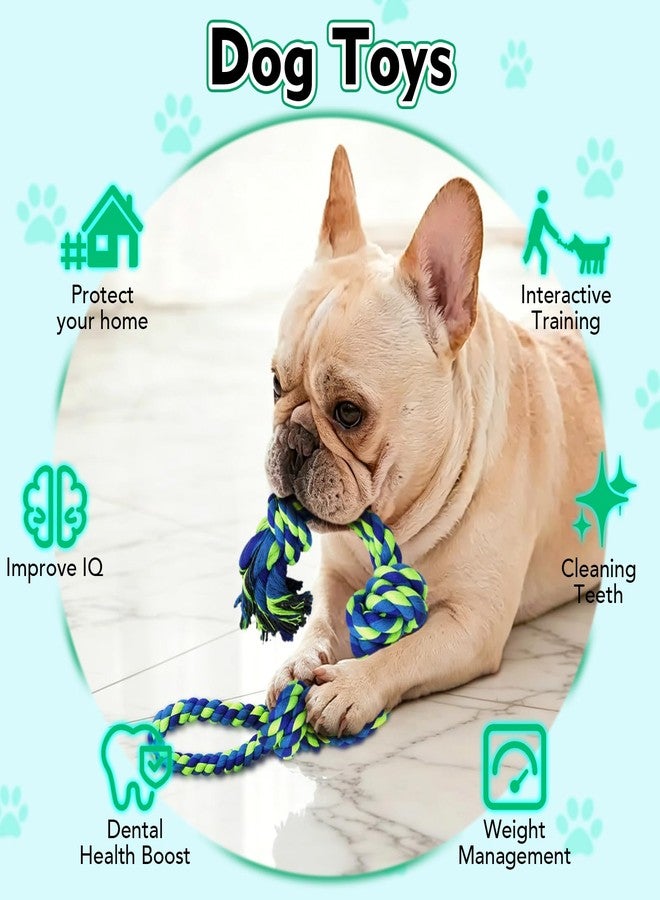 Tug of War Dog Rope Toy with Suction Cup for Small Medium Dogs - Image 4