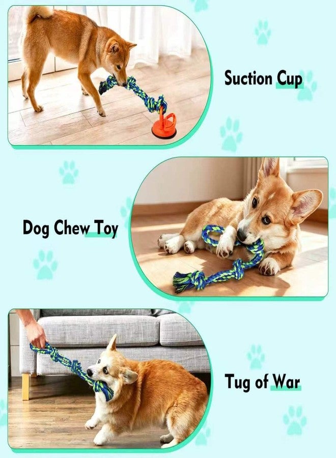 Tug of War Dog Rope Toy with Suction Cup for Small Medium Dogs - Image 3