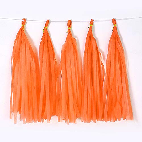 Binpeng 9.8in Orange Tissue Paper Tassel DIY Hanging Paper Decorations Party Garland for Parties, Weddings, Festivals, Baby Showers - 20PCS (25CM) - Image 1