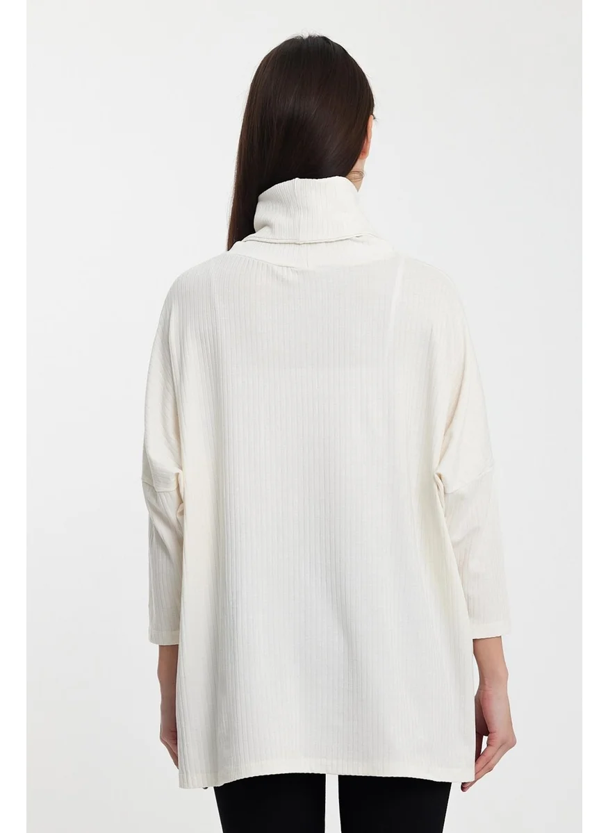 Alexandergardi Alexandergardı Turtleneck Fine Knitwear SWEATER(B24-36603)