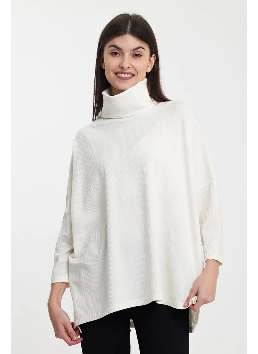 Alexandergardi Alexandergardı Turtleneck Fine Knitwear SWEATER(B24-36603)