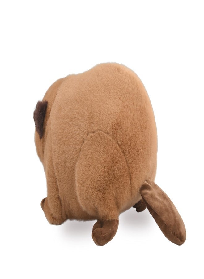 YONLIT Lifelike Beaver Stuffed Animal with Big Front Teeth Animated Plush Nutria Toy Doll Super Realistic Beaver Act Like Real Excellent Gifts for Kids Birthday Party or Stuff Collection 15 Inches (Large) - Image 3