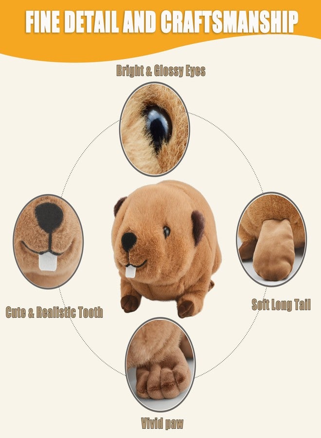 YONLIT Lifelike Beaver Stuffed Animal with Big Front Teeth Animated Plush Nutria Toy Doll Super Realistic Beaver Act Like Real Excellent Gifts for Kids Birthday Party or Stuff Collection 15 Inches (Large) - Image 4