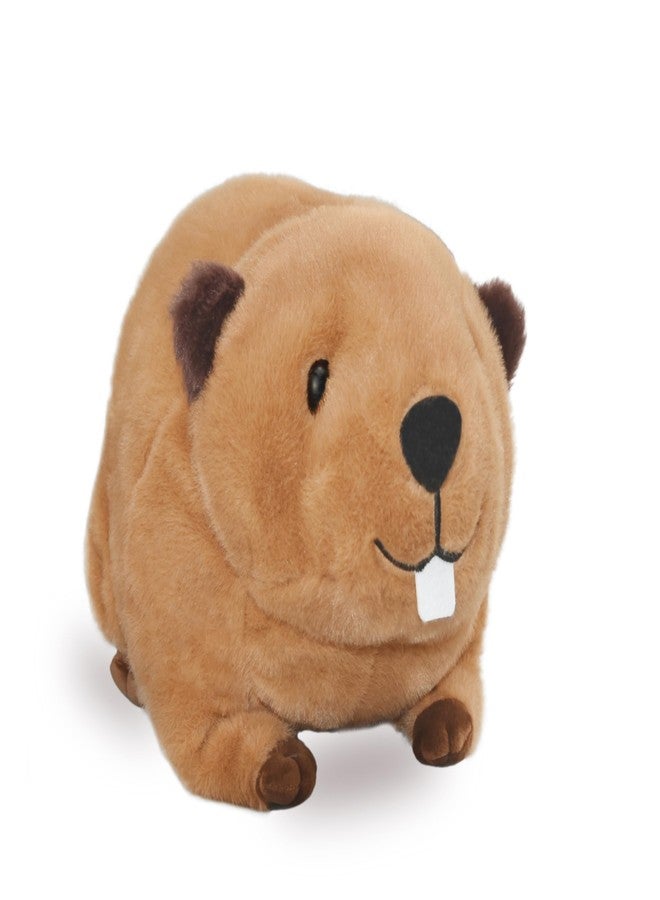 YONLIT Lifelike Beaver Stuffed Animal with Big Front Teeth Animated Plush Nutria Toy Doll Super Realistic Beaver Act Like Real Excellent Gifts for Kids Birthday Party or Stuff Collection 15 Inches (Large) - Image 2